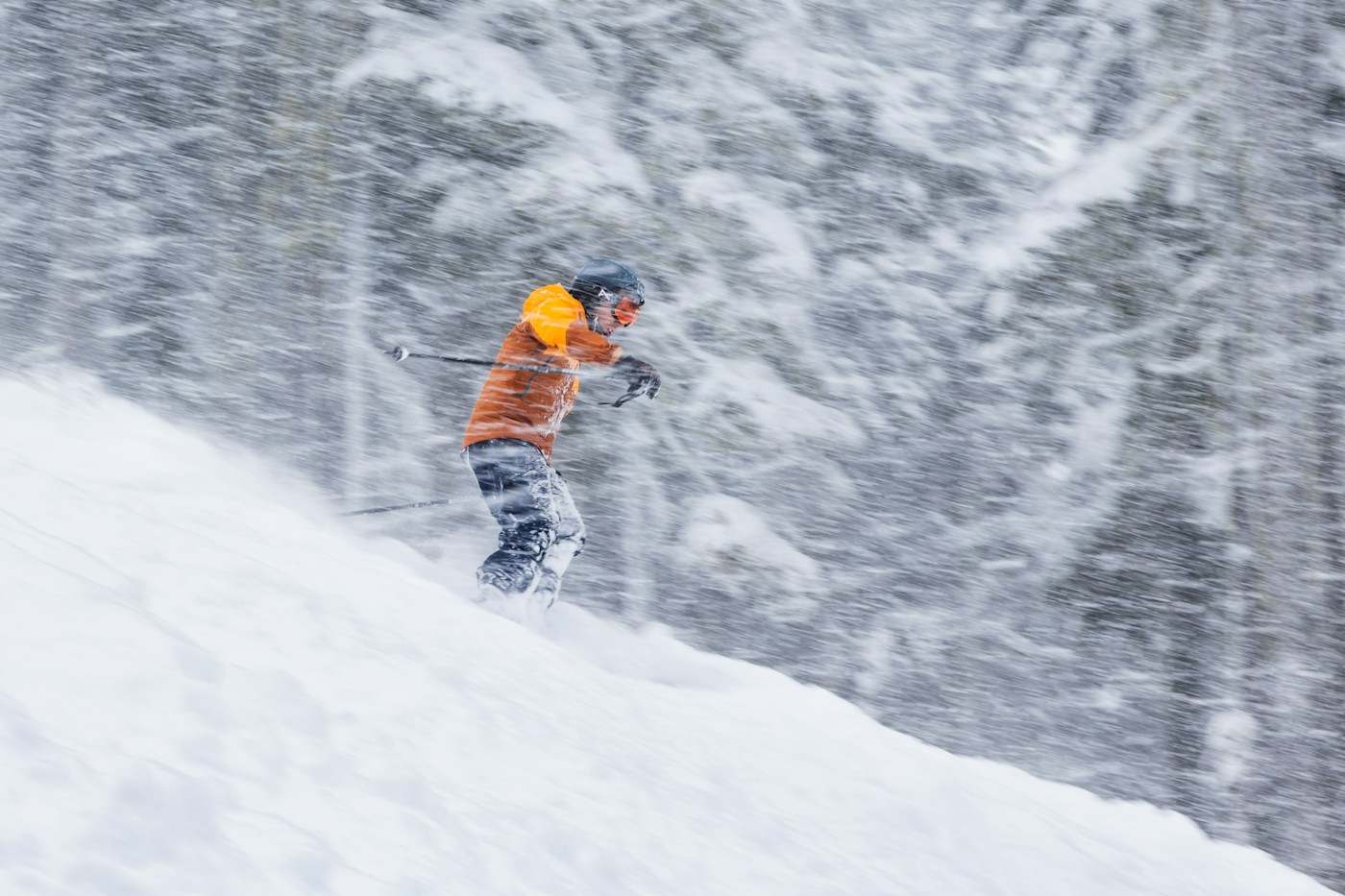 A skier carving a turn through soft snow between mountain trees